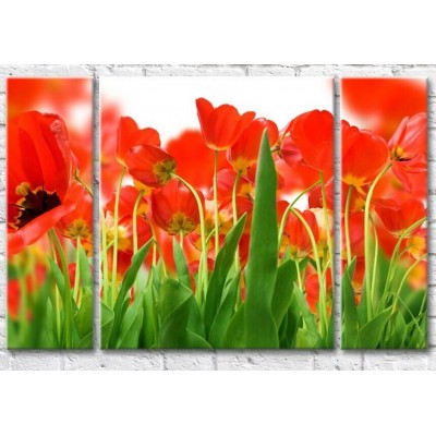 Pictură Gallerix Floral abstraction from red flowers and leaves of tulips (500800)