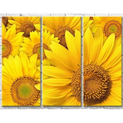 Pictură Gallerix Floral abstraction from sunflowers (500802)