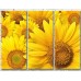 Pictură Gallerix Floral abstraction from sunflowers (500802)