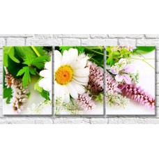 Картина Gallerix Flower arrangement with large chamomile (500809)