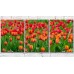 Картина Gallerix Flower field with red tulips (500812)