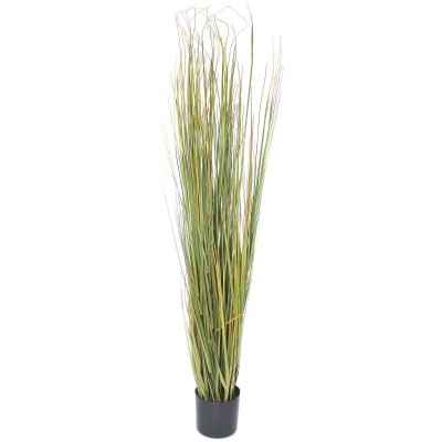 Декоративный цветок Casa Masa Sedge Grass Green/Yellow 153cm (8900252556A)