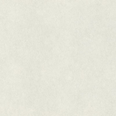 Обои Rasch 957303Raymond