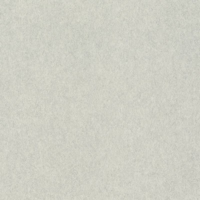Обои Rasch 957310 Raymond