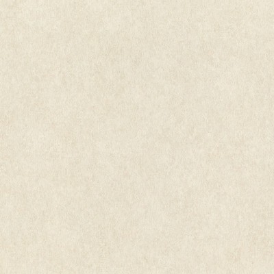 Обои Rasch 957334 Raymond