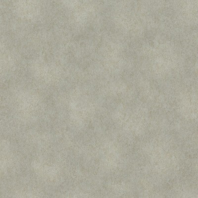 Обои Rasch 957365 Raymond