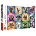 Пазл Trefl 1000 Funny Dogs (10462)