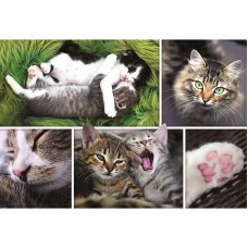 Puzzle Trefl 1500 Kittens (26145)