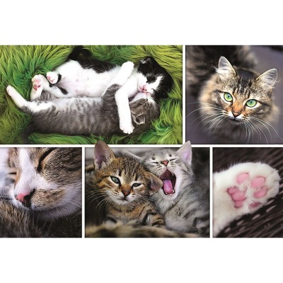 Puzzle Trefl 1500 Kittens (26145)