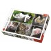 Puzzle Trefl 1500 Kittens (26145)