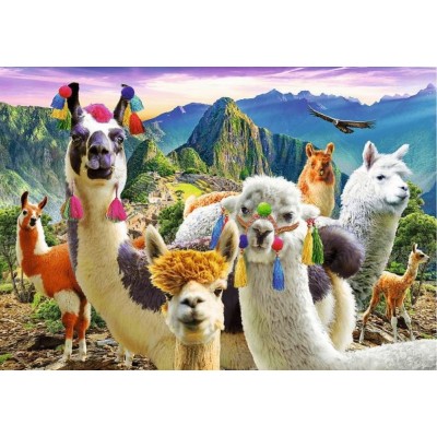 Puzzle Trefl 500 Llamas (37383)