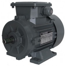 Motor electric GAMAK AGM 100 (G33003)