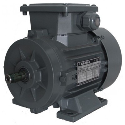 Motor electric GAMAK AGM 71 (G0371503)