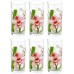 Set de pahari Luminarc Red Orchis 270ml 6pcs (N5084/G4606)