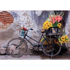 Puzzle Educa 500 Bicycle with Flowers (17988)