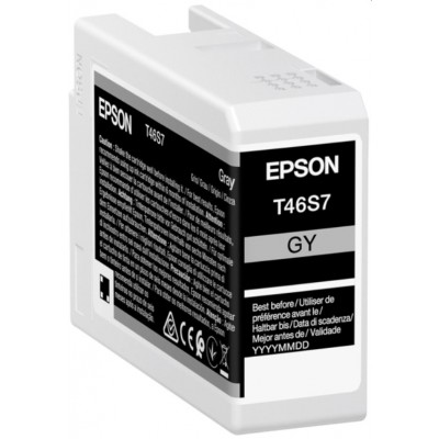 Cartuș Epson C13T46S700 Gray