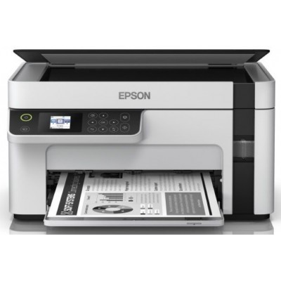 Multifunctional Epson M2110