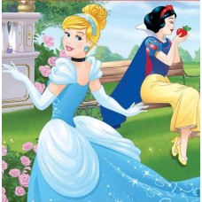 Puzzle Educa 4in1 Disney Princess (17166)