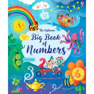 Книга Big book of numbers (9781474937191)