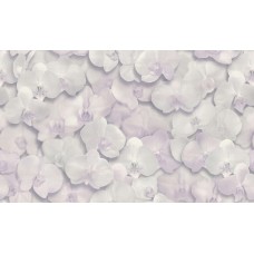 Обои Home Color HC71421-11 Orchid