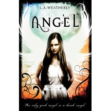 Книга Angel (9781409521969)