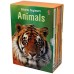 Книга Animals Box Set - 10 books (9781474936286)