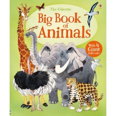 Книга Big Book of Animals (9781474928953)