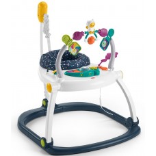 Развивающий игровой центр Fisher-Price (HBG73)