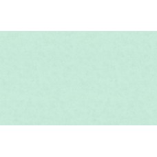 Обои Home Color HC71542-46