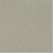 Обои Rasch 947410 Factory IV Style