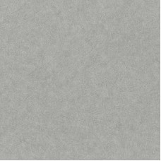 Обои Rasch 947427 Factory IV Style