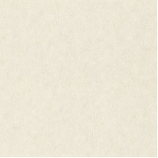 Обои Rasch 947649 Factory IV Style