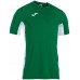 Мужская футболка Joma 101469.452 Green/White M