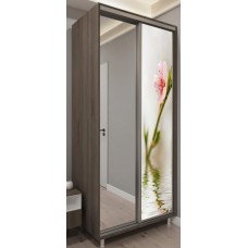 Шкаф-купе Bafimob D-100 Glass+Sakura Truffle