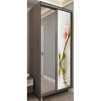 Шкаф-купе Bafimob D-100 Glass+Sakura Truffle