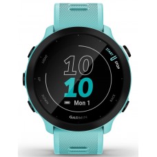 Smartwatch Garmin Forerunner 55 (010-02562-12)