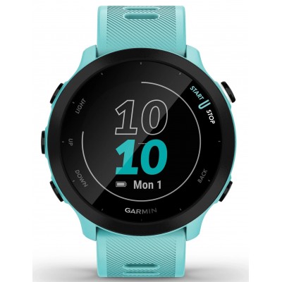 Смарт-часы Garmin Forerunner 55 (010-02562-12)