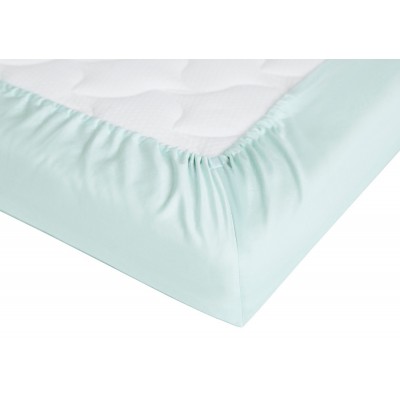 Foaie Perina (PR-160.5) Mint