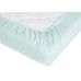 Foaie Perina (PR-160.5) Mint