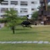Jucărie teleghidată Flybotic Sky Cheetah (84718)