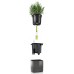Цветочный горшок Lechuza Green Wall Glossy