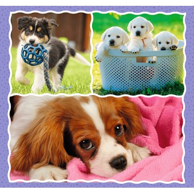 Puzzle Trefl 3in1 Lovely dogs (34854)