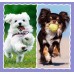 Puzzle Trefl 3in1 Lovely dogs (34854)