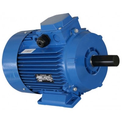 Motor electric Mogilevsk AIR 132S 6 (10125611)