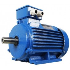 Motor electric Mogilevsk AIR 71B 6 (10112611)