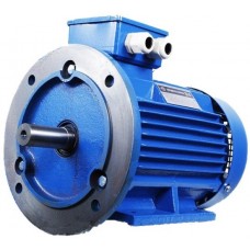 Motor electric Mogilevsk AIR 80A 2 (10118221)