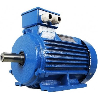 Motor electric Mogilevsk AIR 80B 2 (10120211)