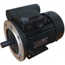 Motor electric Mogilevsk AIRE 80C 2 (10809211)