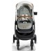 Коляска Joie Finiti Signature Oyster
