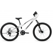 Велосипед Forward Rise 24 2.0 disc (2021) White/Black